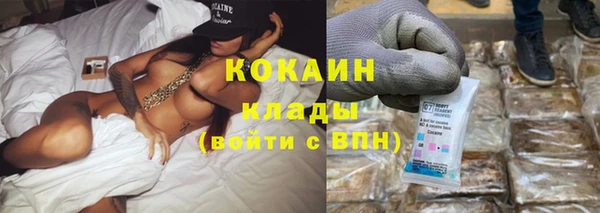 сатива Россошь