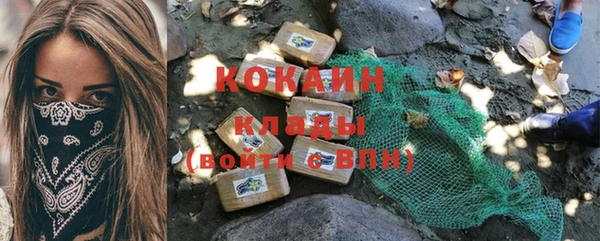 твердый Аркадак